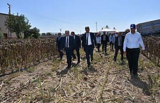 Sandıklı’da tarla günleri etkinliği