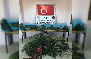 Şanlıurfa’da uyuşturucuya geçit yok