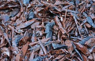 Sarıkamış’ta obsidyen ocağına yoğun ilgi