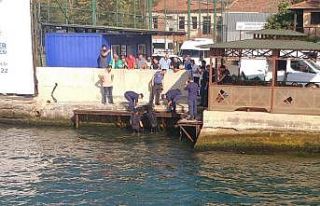 Sarıyer’de denizde erkek cesedi bulundu