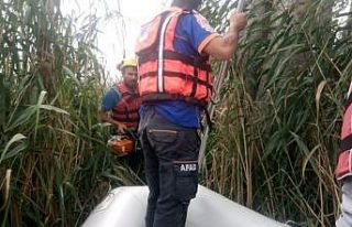 SEDAŞ ekipleri Sapanca Gölünde bakım yaptı