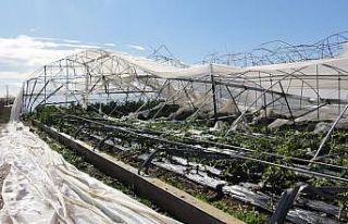 Seralar için sigorta zamanı