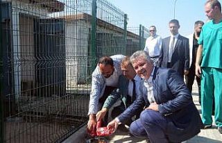 Sevgi Hareketi Lüleburgaz’ı güzelleştiriyor