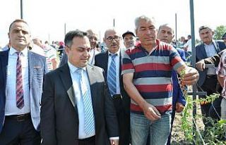 Simav’da ’Goji Berry’ projesi