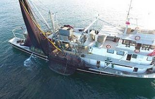 Sinoplu balıkçılar ilk gün satışlardan memnun