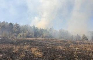 Sinop’ta örtü yangını