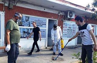 Sokak hayvanlarından yayılan keneler Eski Garaj’ı...