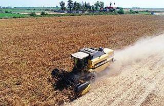 Stratejik ürün "soya" destek bekliyor