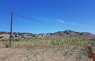 Sungurlu’da telefon kablolarını çaldılar