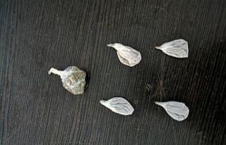 Şüpheli şahıslardan uyuşturucu ele geçirildi