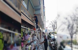 Tabelaya sıkışan güvercini itfaiye kurtardı