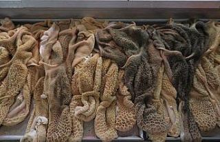 Talep arttı sakatat bulmak zorlaştı