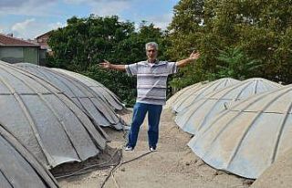 Tarihi caminin çalınan kurşunlarının maliyeti...