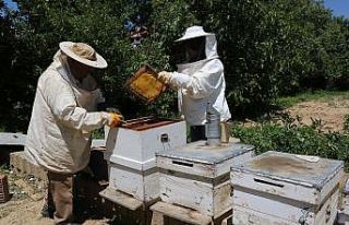 Tarımsal eğitimlerle bilinçli ve kaliteli üretim...