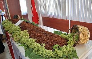 TARİŞ açıkladı, en düşük üzüm 10 lira