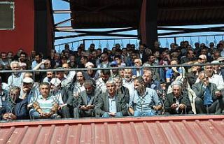 Terör mağduru aileler evlerine kavuşuyor