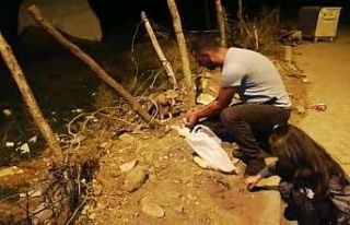 Tilkiyle dost oldu, her gün eliyle besliyor