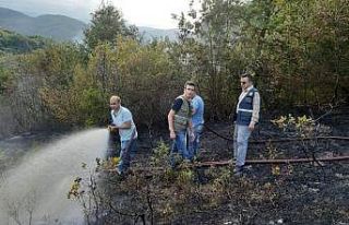 Türkeli’de çıkan yangın ormanlık alana sıçramadan...