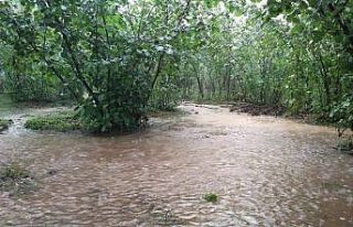 Üreticilere şiddetli yağış uyarısı