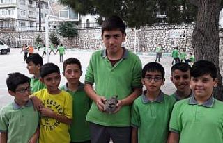 Yaralı kekliğe öğrenciler sahip çıktı