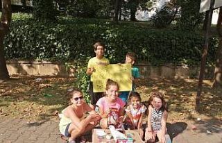 Yavru kedilerin bakımı için tezgah kurup satış...