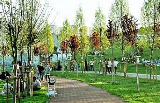 Yeşilin tüm renkleri Şahinbey’de