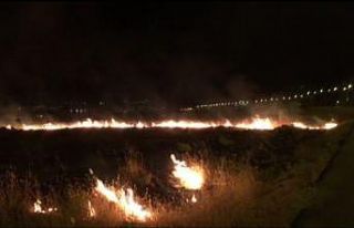 Yol kenarında çıkan yangın, fıstık bahçesine...