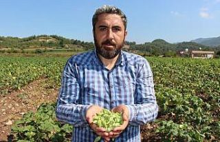 Yöneticiliği bırakıp çiftçi oldu, "Huzuru...