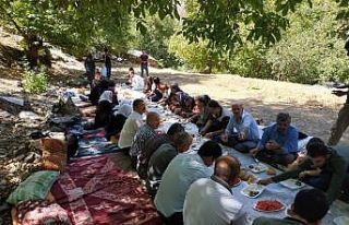 Yüksekova Dağlıca’da 400 kişilik piknik keyfi