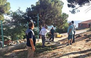 Zeytin alım merkezi kuruldu