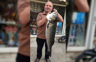 11 kilogramlık levrek yakaladılar