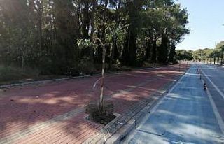 19 yaşındaki Seher’in ölümünde şok gelişme