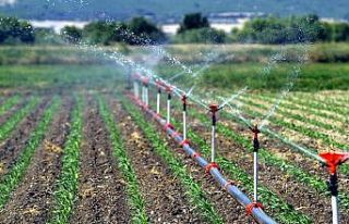 2019 Sulama sezonunda Şanlıurfa’da, 481 bin 810...