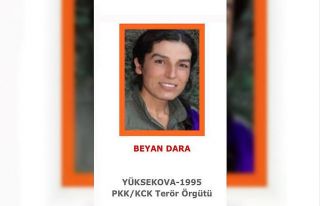 Turuncu Liste’deki terörist etkisiz hale getirildi