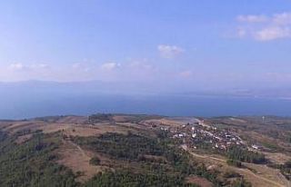 700 bin meşe ve kayın ağacı kurtuldu