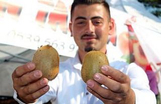 7. Subaşı Kivi Festivali yapıldı