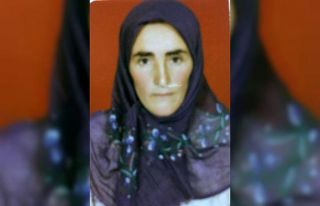 Alzheimer hastası yaşlı kadından 2 gündür haber...