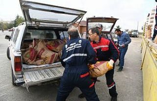 Ankara Büyükşehir çiftçilere yem bitkisi tohumu...