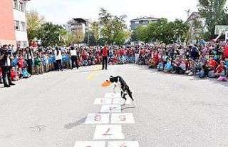 Ankara Büyükşehirden Hayvanları Koruma Günü...