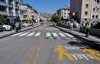 Ankara’da ilk 3 boyutlu yaya geçidi