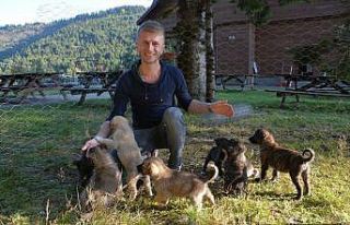 Annesiz 12 yavruyu besliyor