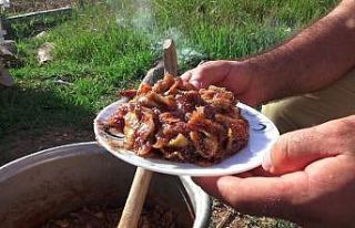 Antalya’da ‘bestel’ sezonu açıldı