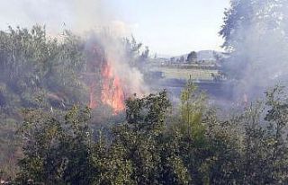 Antalya’da çıkan yangın kontrol altına alındı
