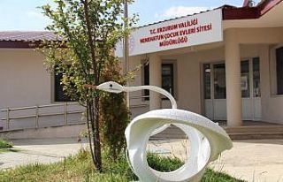 Aşçı Şaban Usta araba lastiklerinden sanat eseri...