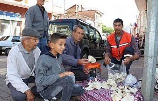 Aydın’da doğal mantar tezgahtaki yerini aldı
