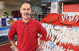 Balıkçılarda ‘Palamut’ sevinci