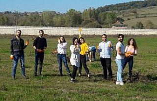 Bartın Üniversitesi’nde öğrenciler otantik öğrenme...