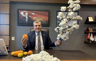 Barut: "Prim destekleri acil ve peşin ödenmeli"