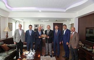 Başkan Er’den Şırnak Valisi Pehlivan’a ziyaret