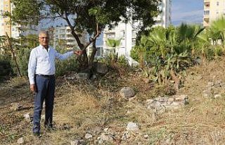 Başkan Tarhan’dan ‘Aratos’un mezarı gün yüzüne...